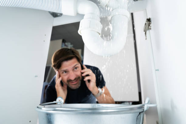 Best Leak Detection Services  in Fox Lake Hls, IL